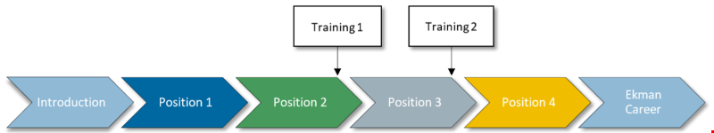 Trainee Program Timeline